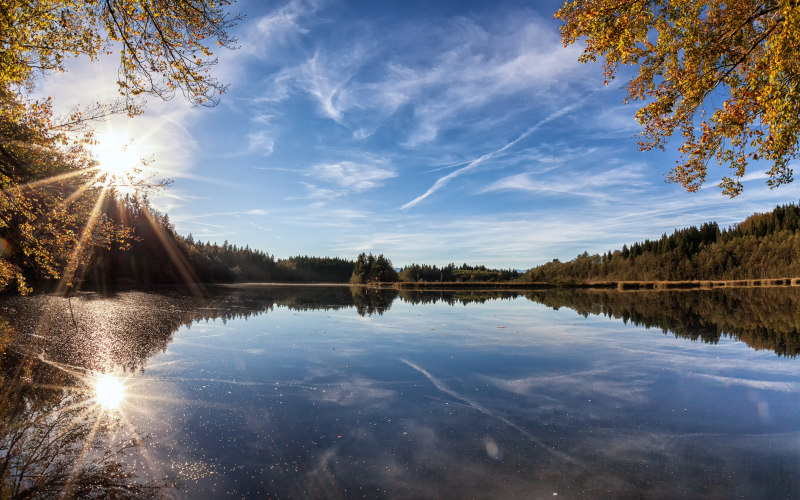 Stadler Weiher